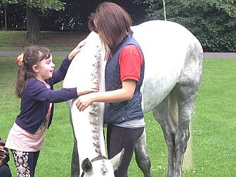 Using horse power to teach chi...